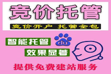 案例分享：SEM推广优化实战技巧